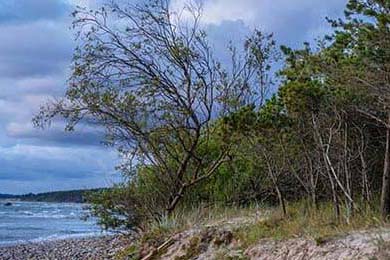 渗透检测技术原理与标准化操作流程的实践研究