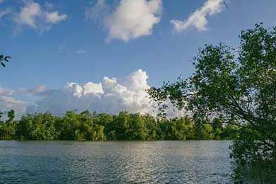 小火花自媒体到底是个啥？看完这篇你也能成为多平台发稿的摸鱼大师！
